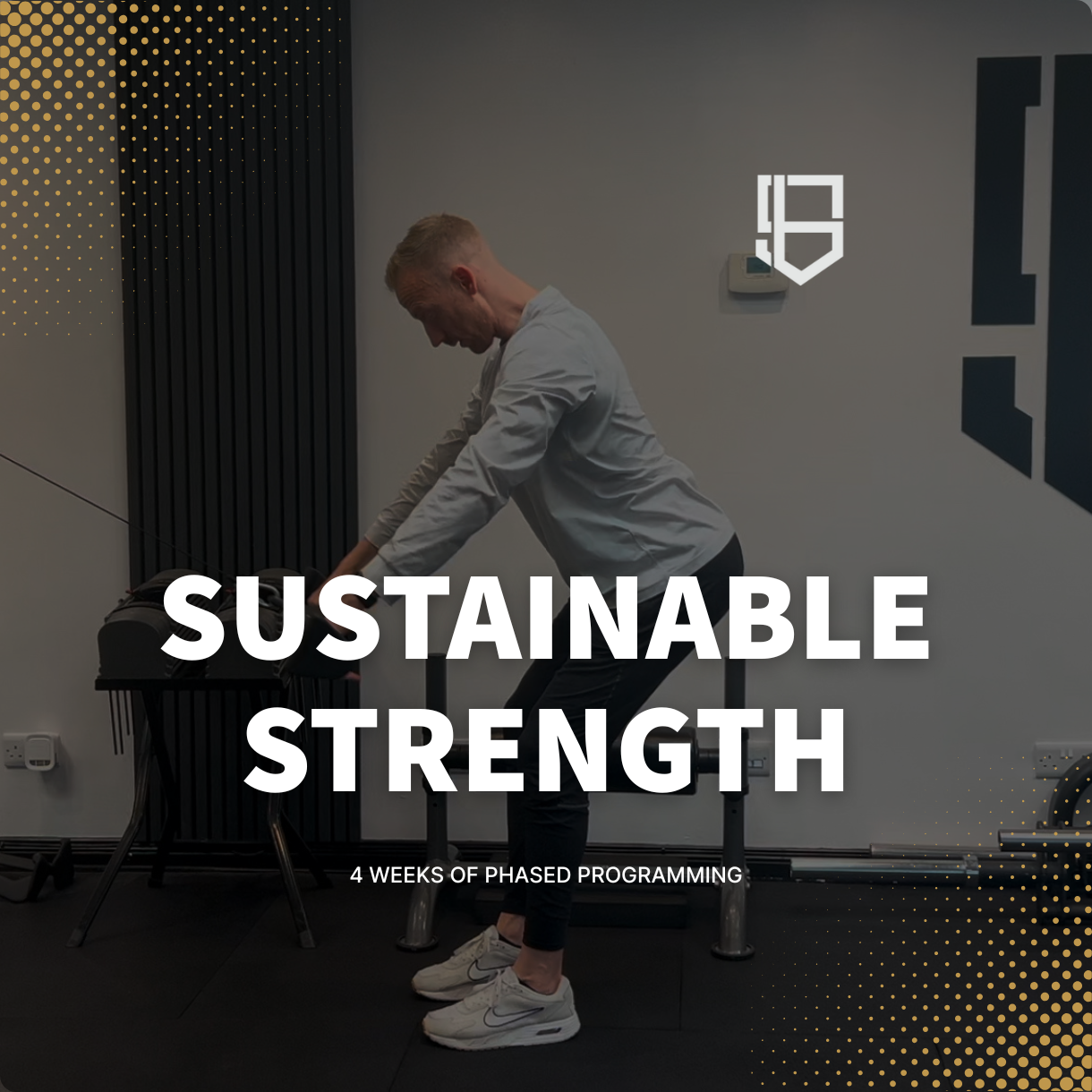 sam beagle 8 week mens programme
